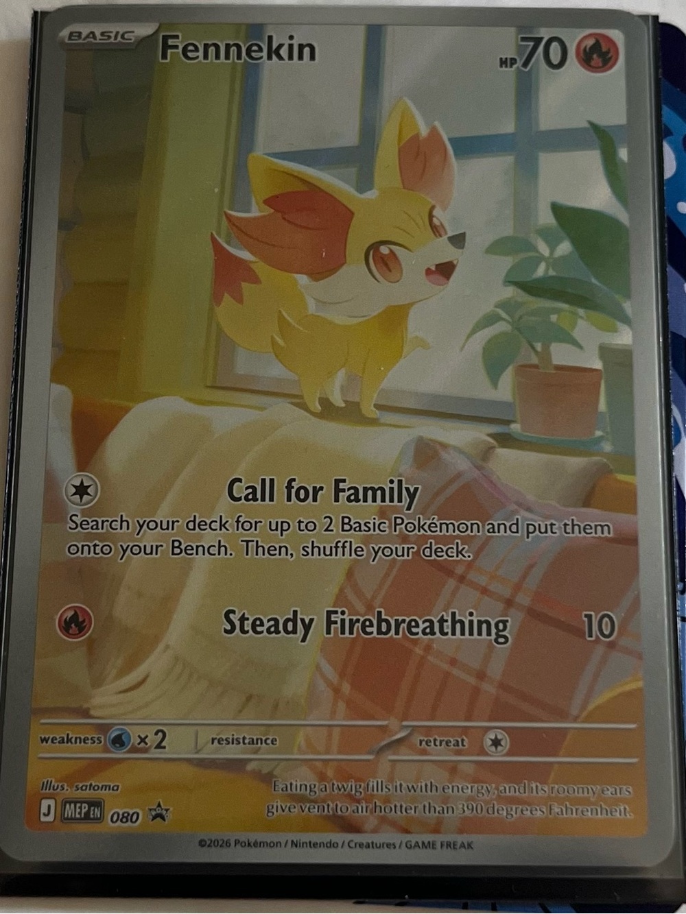 Pokemon Mystery Packs - Picture 6 of 9